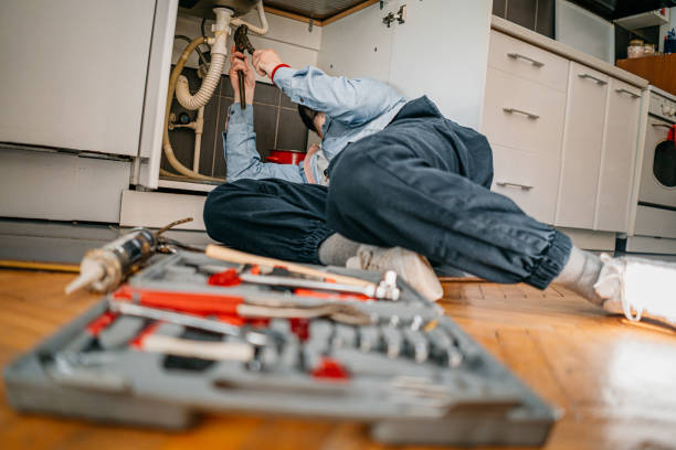 Best Plumbing Repair Near Me  in Lone Tree, CO