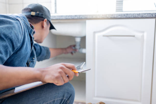 Best Plumbing Services Near Me  in Lone Tree, CO