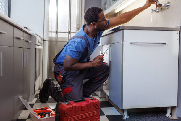 Best Plumbing Inspection Services  in Lone Tree, CO