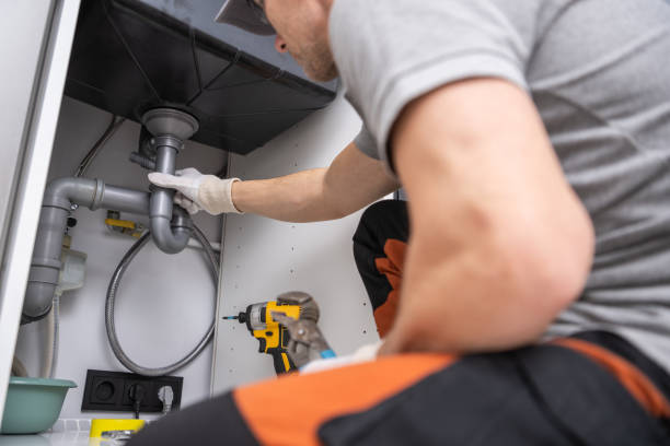 Best Commercial Plumbing Services  in Lone Tree, CO