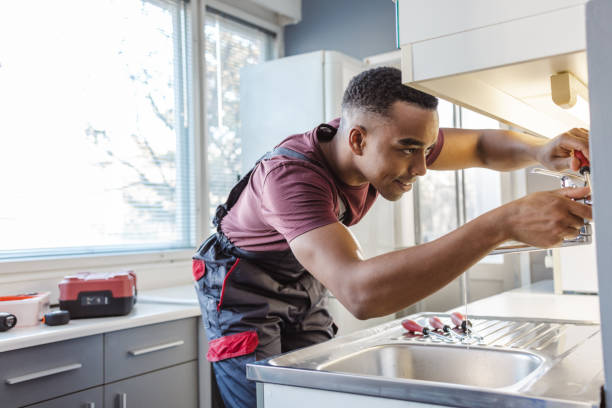 Best Residential Plumbing Services  in Lone Tree, CO